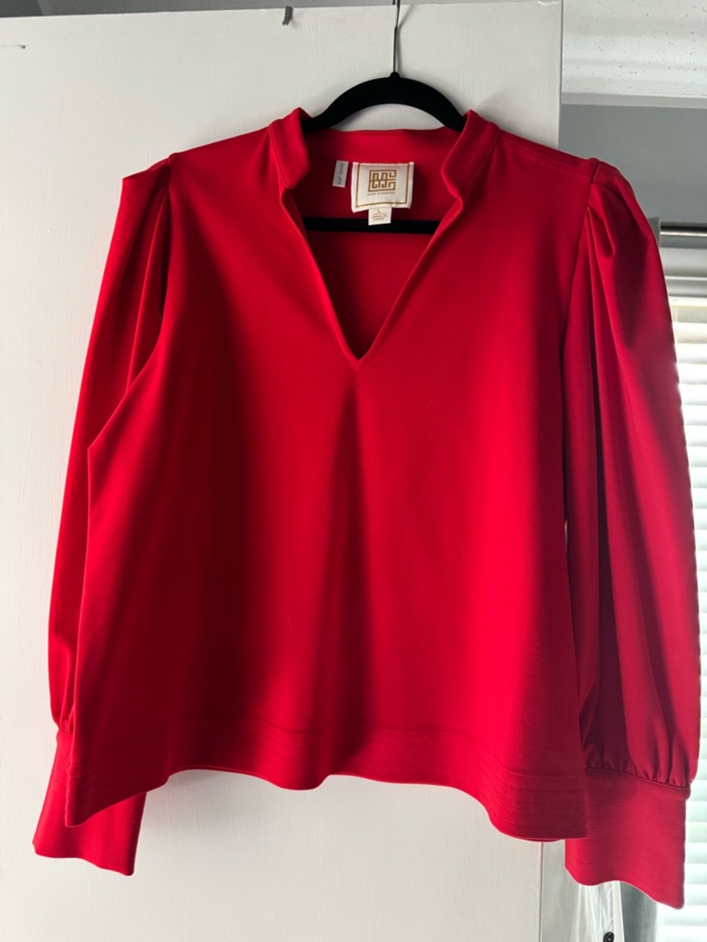 NWOT Emily McCarthy Red Hampton Top L